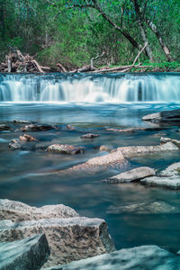 Scenic view of waterfall in forest