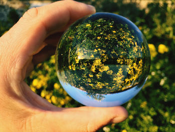 Close-up of person holding crystal ball 