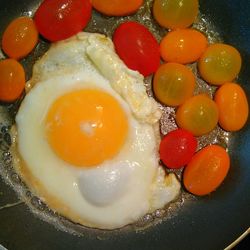 Close-up of food in bowl