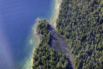 High angle view of trees on sea shore