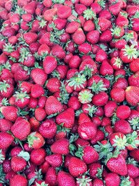 Full frame shot of strawberries