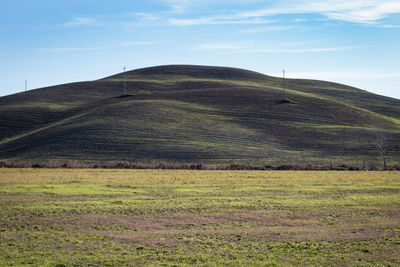 Scenic view of field against sky