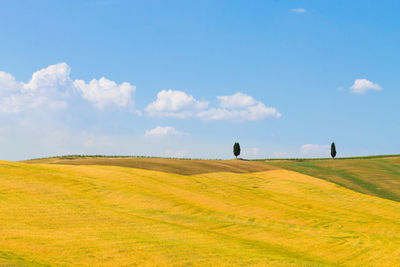 Scenic view of field against sky