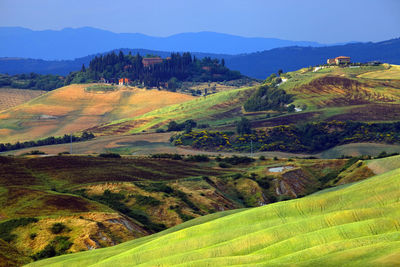 Scenic view of agricultural field against sky