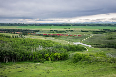 Scenic view of agricultural field against sky