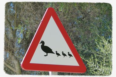 Stop sign on road