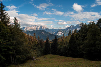 Scenic landscape of pine trees by mountains against sky