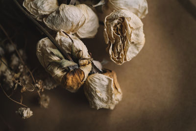 Close-up of dried fruits