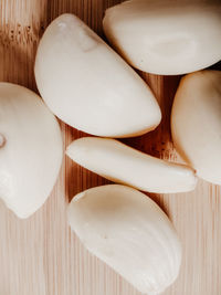 High angle view of shells on table