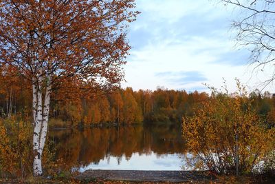 Scenic view of lake against sky during autumn