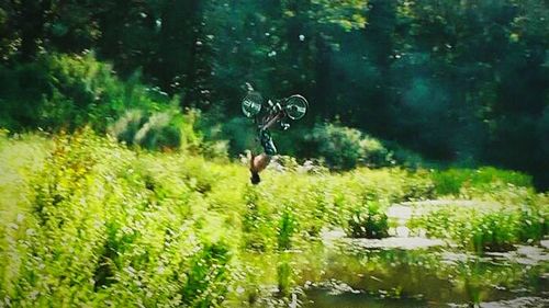 Full length of woman jumping in forest