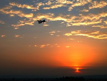 Silhouette bird flying against sky during sunset