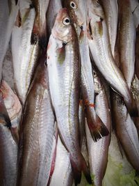 Full frame shot of fish for sale in market