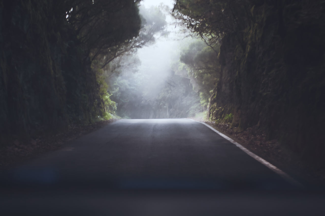 EMPTY ROAD AMIDST TREES