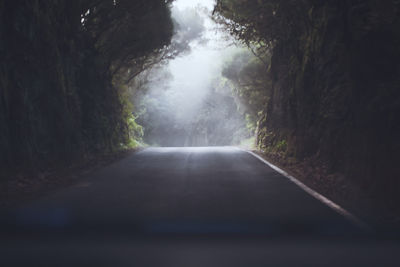 Empty road amidst trees in forest