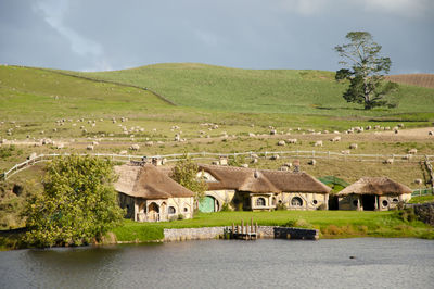 Houses in a valley