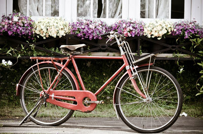 Bicycle parked by window boxes outside houses