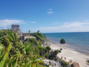 Plants growing on beach against sky