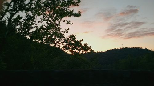 Silhouette of trees against sky at sunset