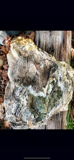 Close-up of multi colored rocks on rock