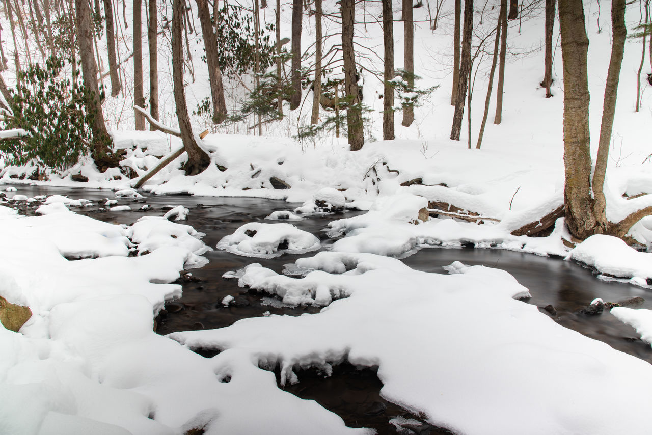 SCENIC VIEW OF SNOW COVERED LAND