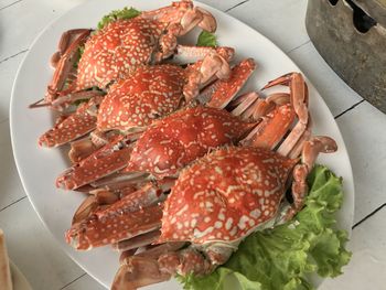 High angle view of fish in plate