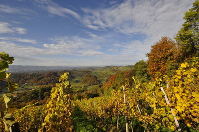 Scenic view of landscape against sky during autumn