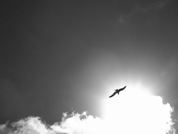 Low angle view of seagull flying in sky