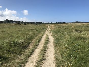 Scenic view of field against sky