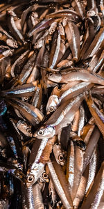 Full frame shot of fish for sale