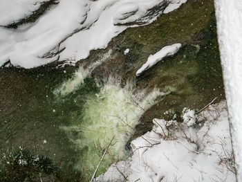 High angle view of horse in snow