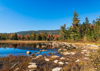 Scenic view of lake against clear blue sky