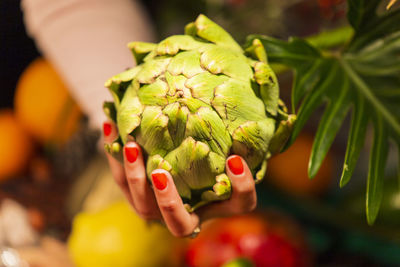 Close-up of hand holding leaf