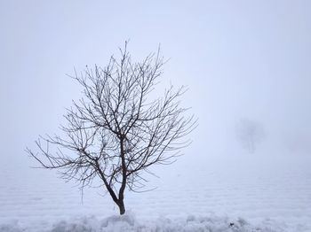 Bare tree against sky during winter