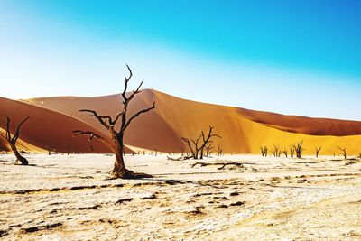 Scenic view of desert against clear sky