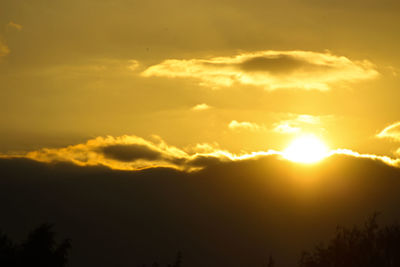 Low angle view of silhouette trees against sky during sunset