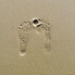 Close-up of sea shore