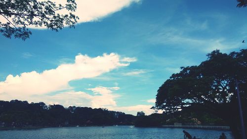 Silhouette trees by lake against sky