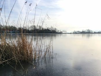 Close-up of lake against sky during sunset