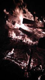 Close-up of bonfire at night