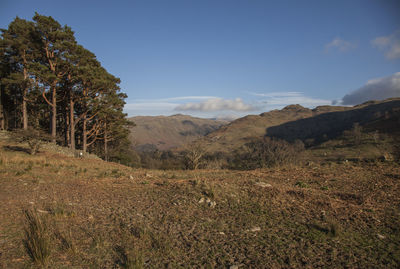 Scenic view of landscape and mountains against sky