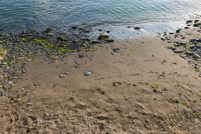 High angle view of beach
