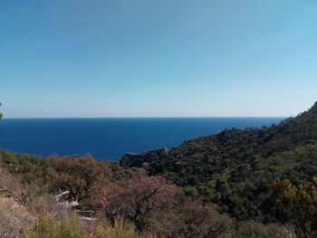 Scenic view of beach against clear sky