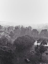 fog