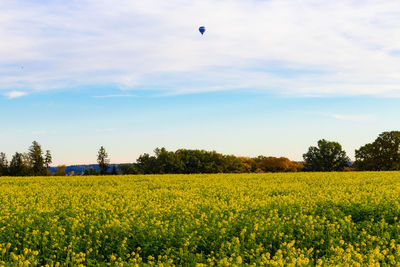 Field and ballooning 