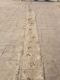 Full frame shot of white wall