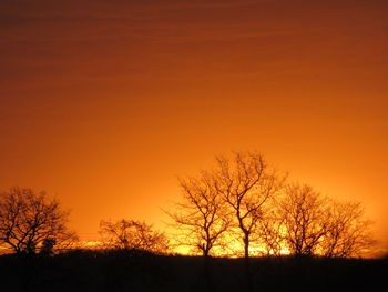 Silhouette bare trees on field against orange sky