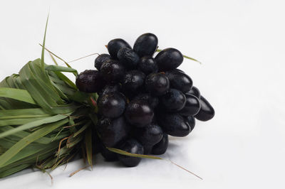 Close-up of berries against white background