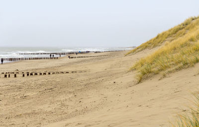 Scenic view of beach against clear sky