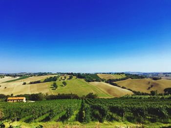 Scenic view of field against clear sky